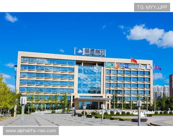 天生凯发官网：用户体验优化与技术支持持续升级