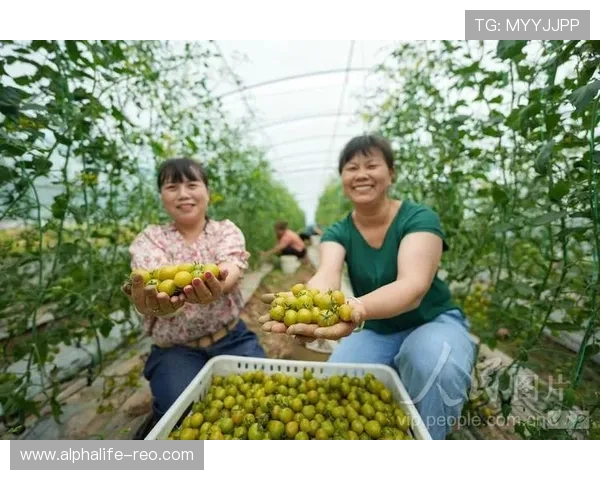 AG捕鱼王2官网下载最新版本，畅享丰富游戏内容与高品质画面体验