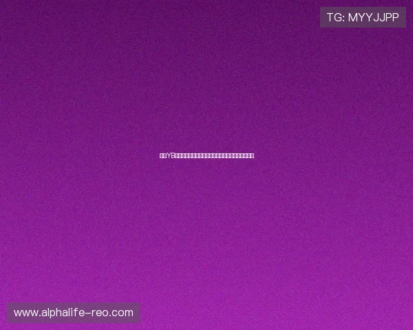 亚博YB的网址安全保障，确保用户账号信息安全的官方入口